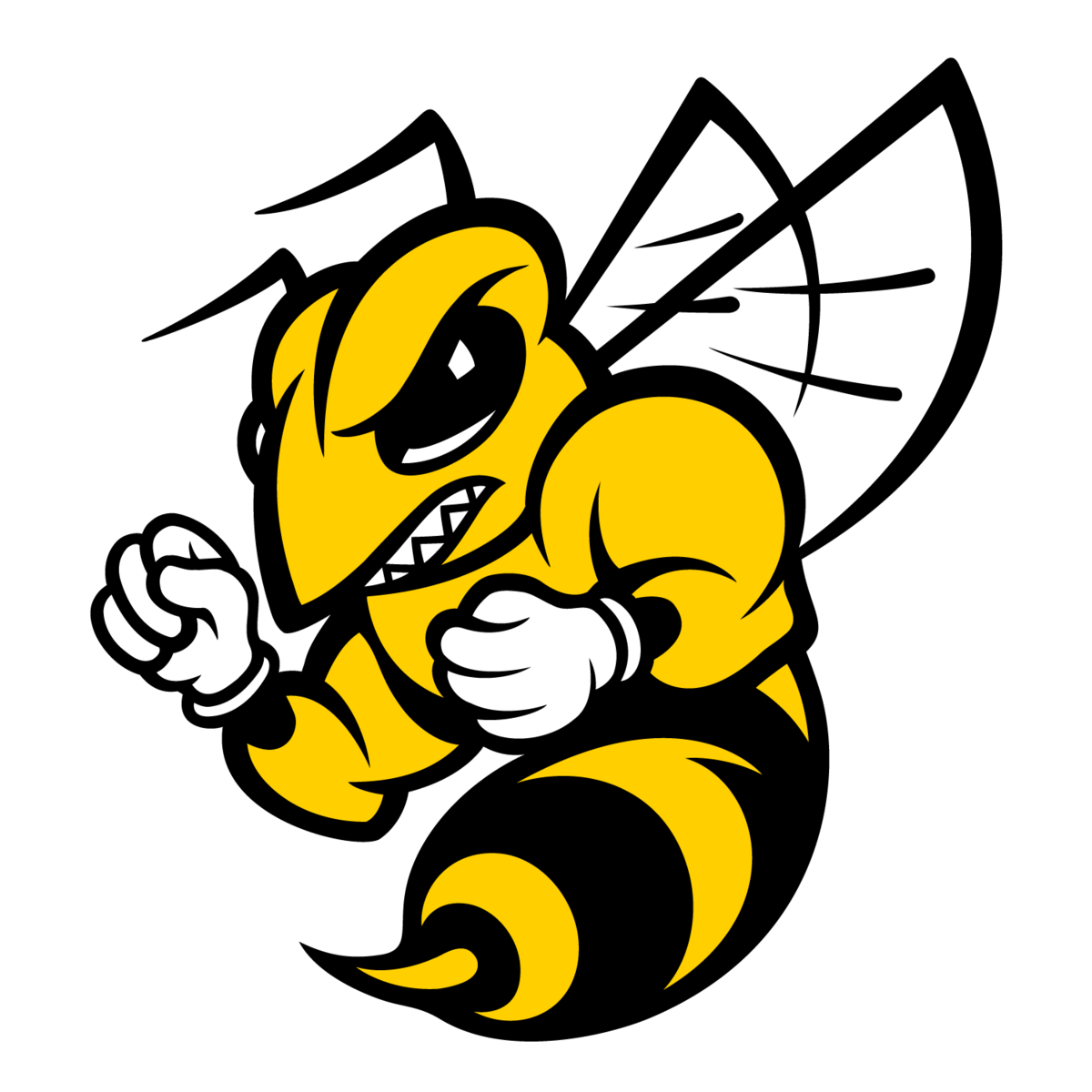 Randolph Macon College Field Hockey